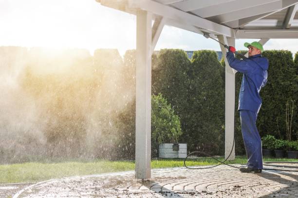 Pre-Holiday Cleaning in St Charles, IL