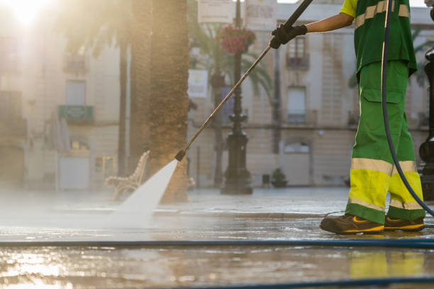 Best Driveway Pressure Washing  in St Charles, IL